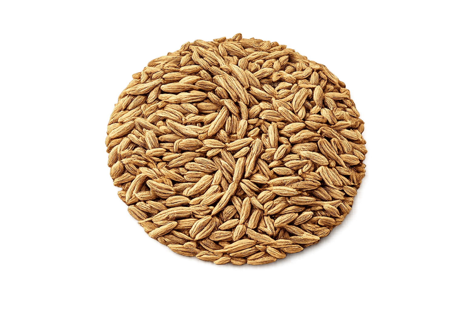 Cumin Seeds