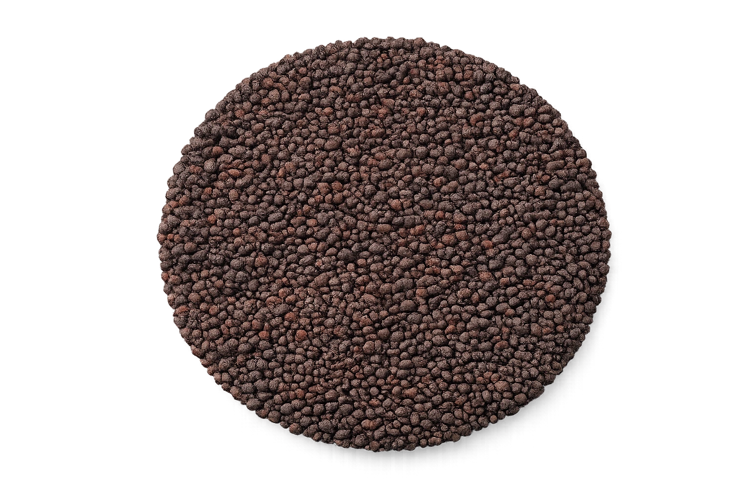 Mustard Seeds